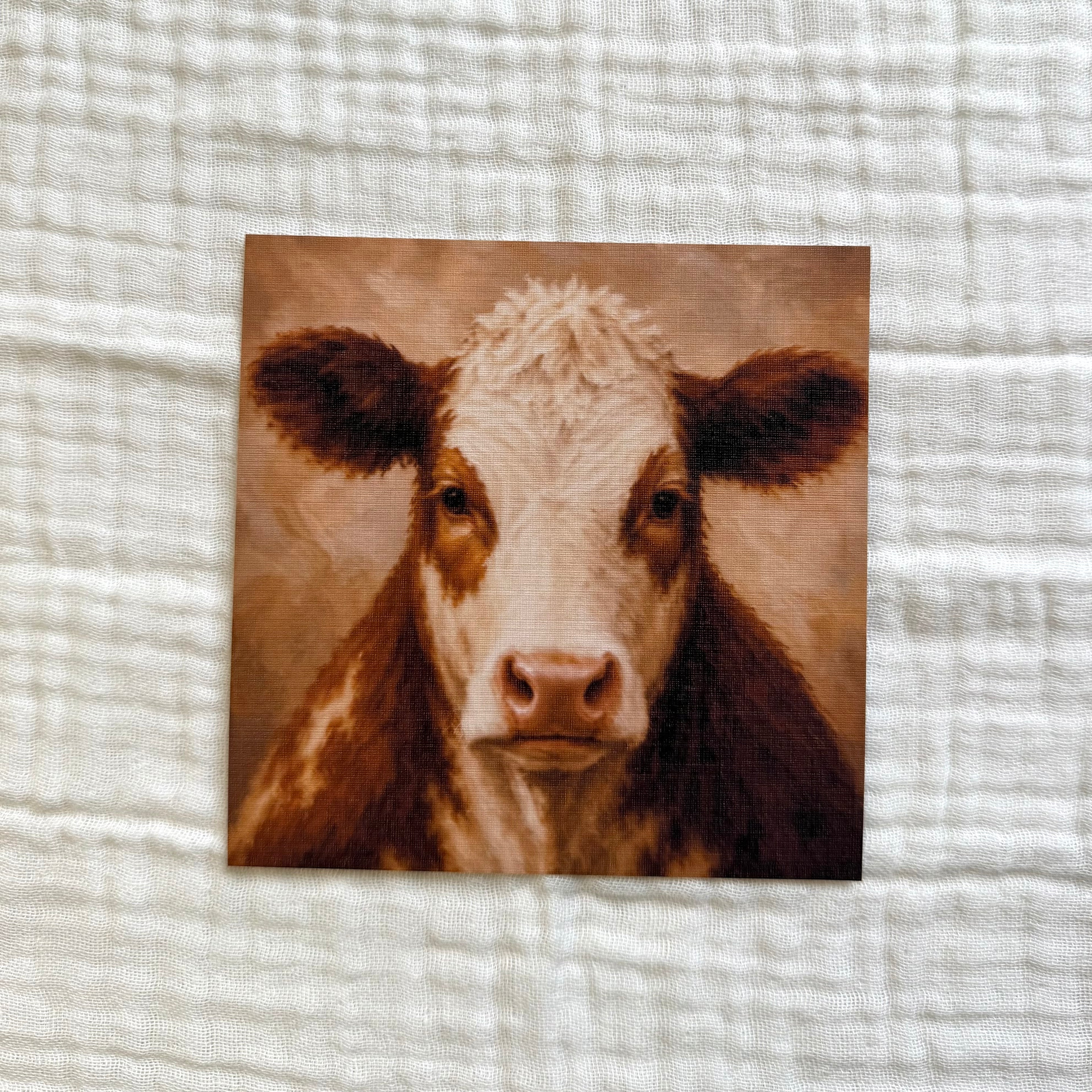 Portrait of a Cow